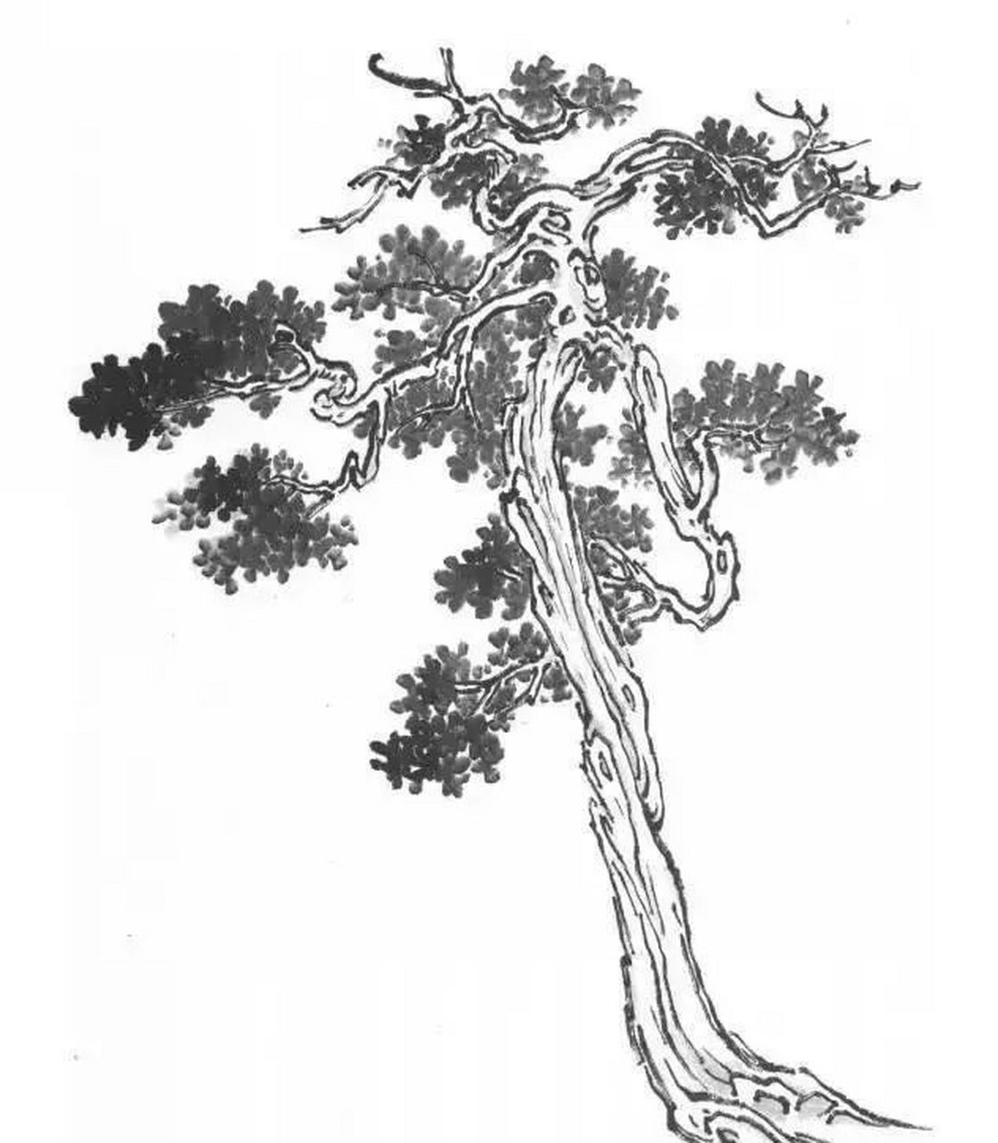 山水画中柏树的两种画法