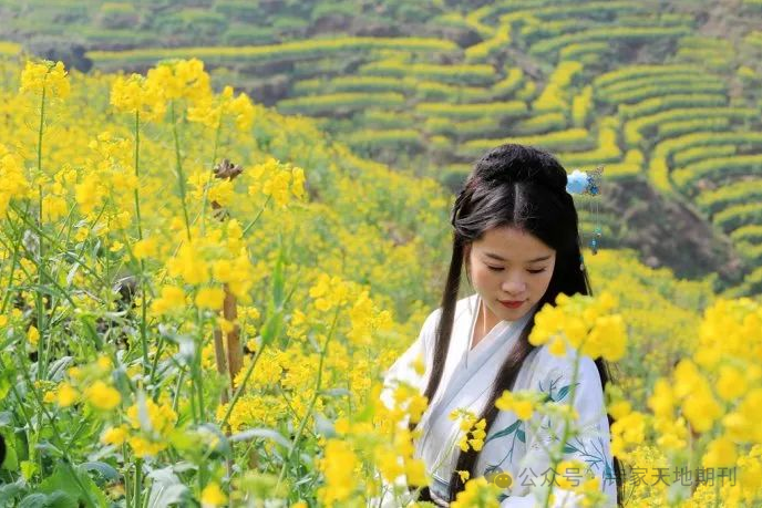 诗家天地期刊第708期心期雨露千珠润意望田原万亩新