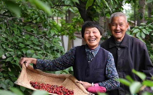 为什么不建议退休回农村养老,这"5点"很现实,你会如何选择?