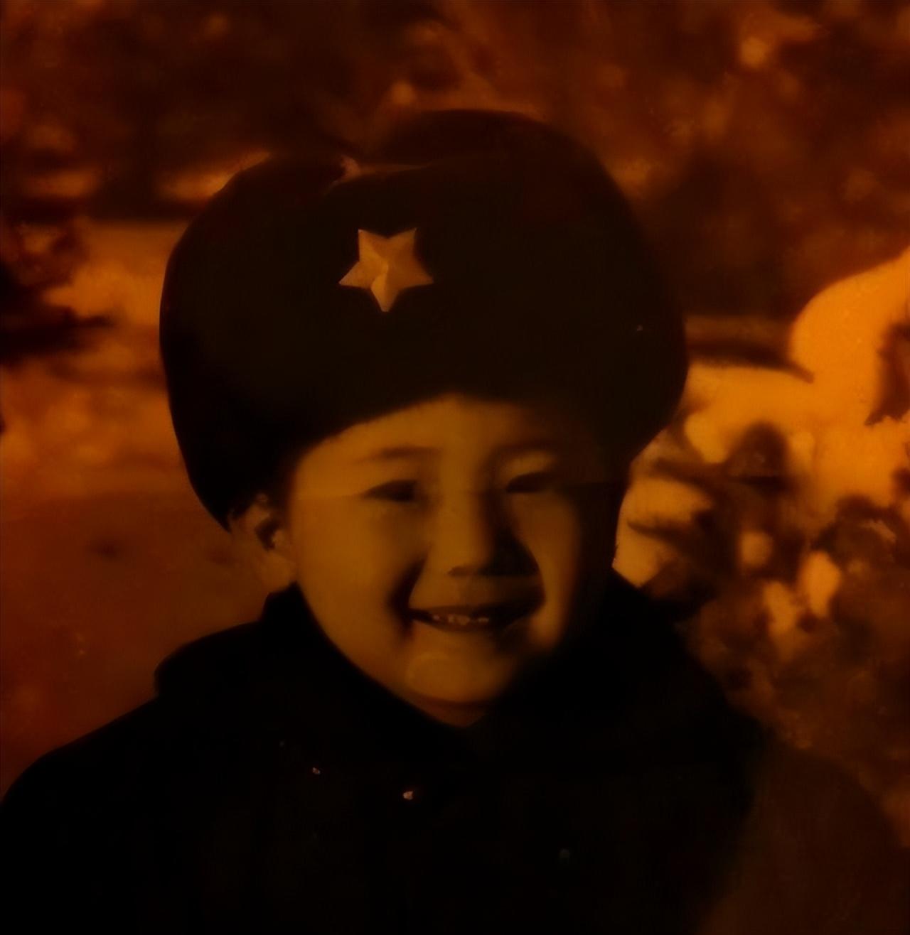 回顾李乃文戏红人不红与颜丙燕意难平48岁终结婚