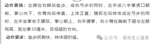 武警篇章擒敌拳十六动