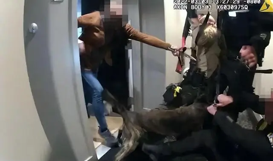 回顾华裔女博士拖欠物业费与警察发生冲突竟被其枪杀