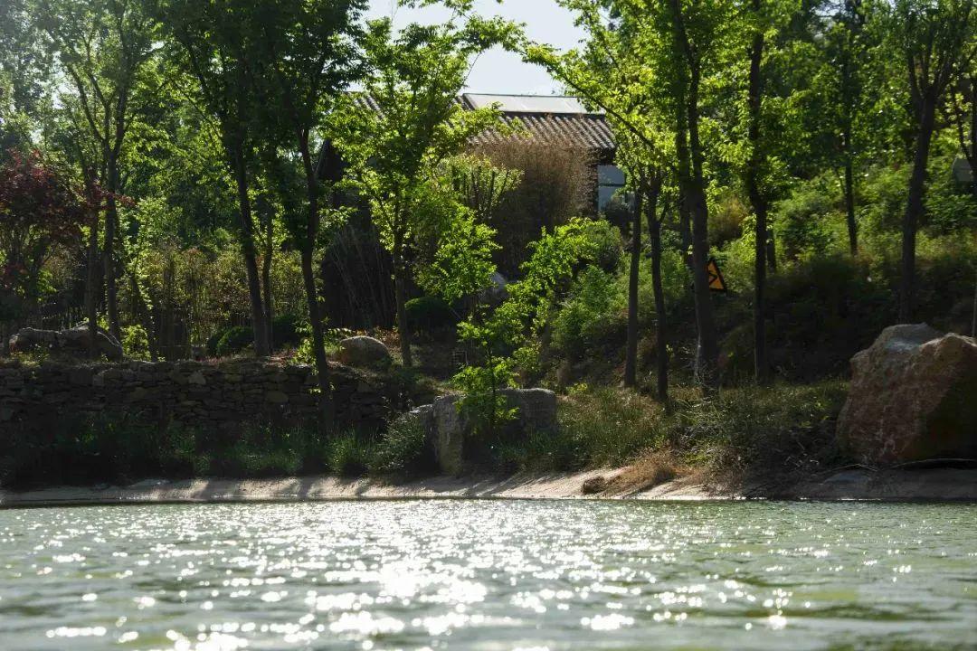 寻一处民宿在济宁把日子过成诗