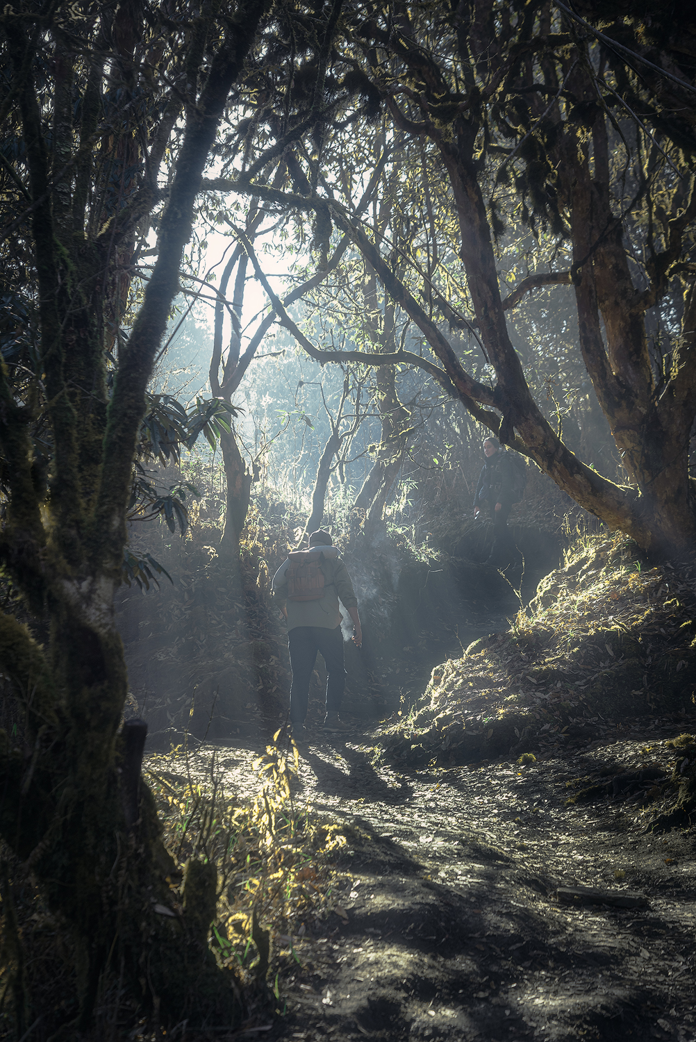 徒步旅行abc尼泊尔安纳普尔纳雪山大本营遭遇暴风雪后壮丽风景