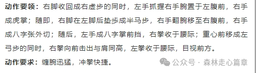 武警篇章擒敌拳十六动