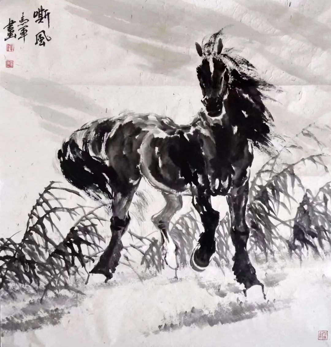 马军——《问界》引航未来 开创艺术新纪元