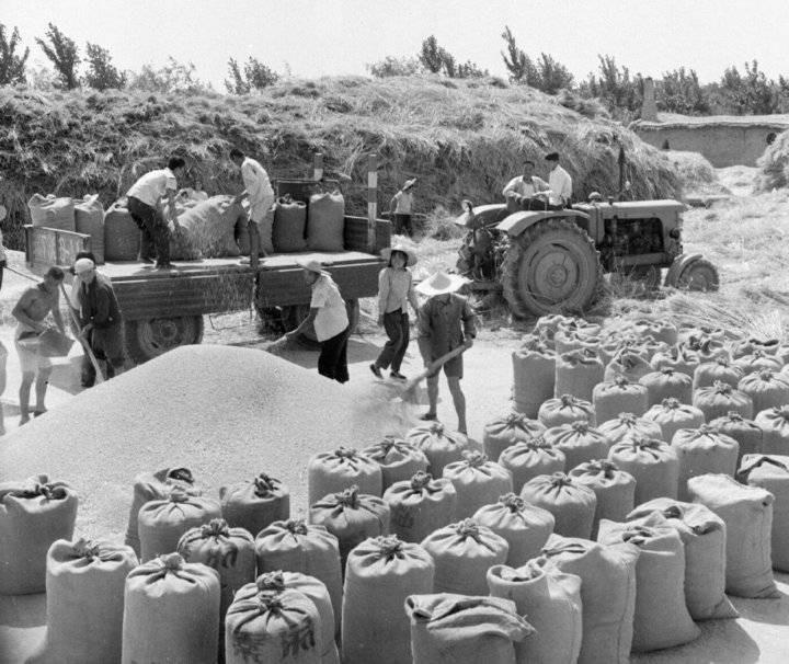 60年农民因偷粮获刑十年背负50年罪名后发现25年前已被判无罪