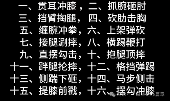 武警篇章擒敌拳十六动