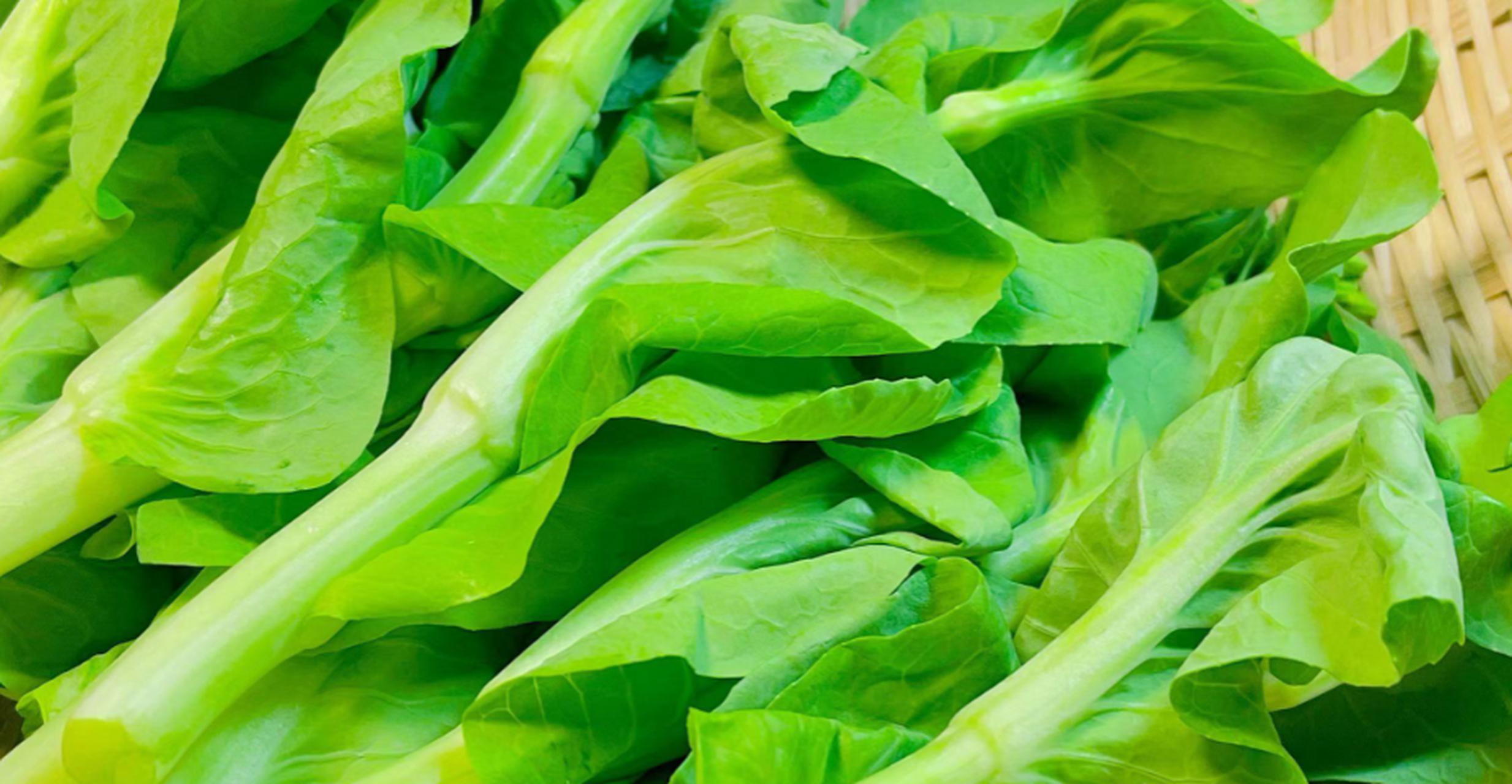 白菜苔是春季时令蔬菜,富含粗纤维和碳水化合物,有助于改善消化系统和