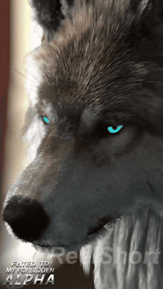 短剧真的赢麻了我们为啥对短剧这么上头