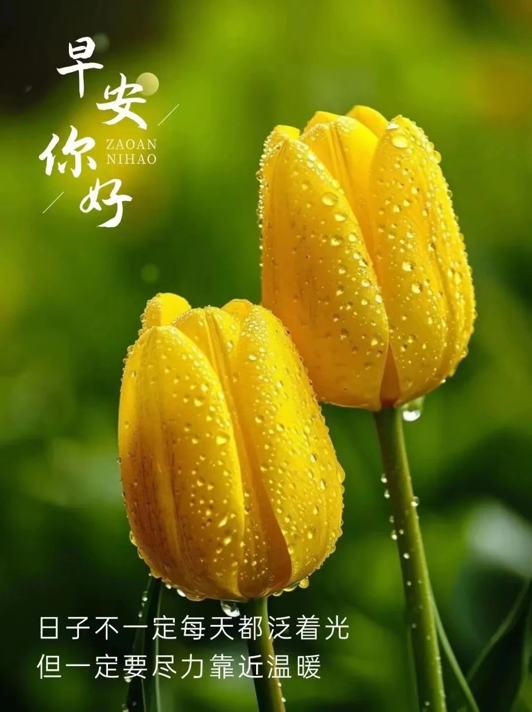 励志正能量早安语录要想人前显贵就要背后遭罪是人就要奋斗