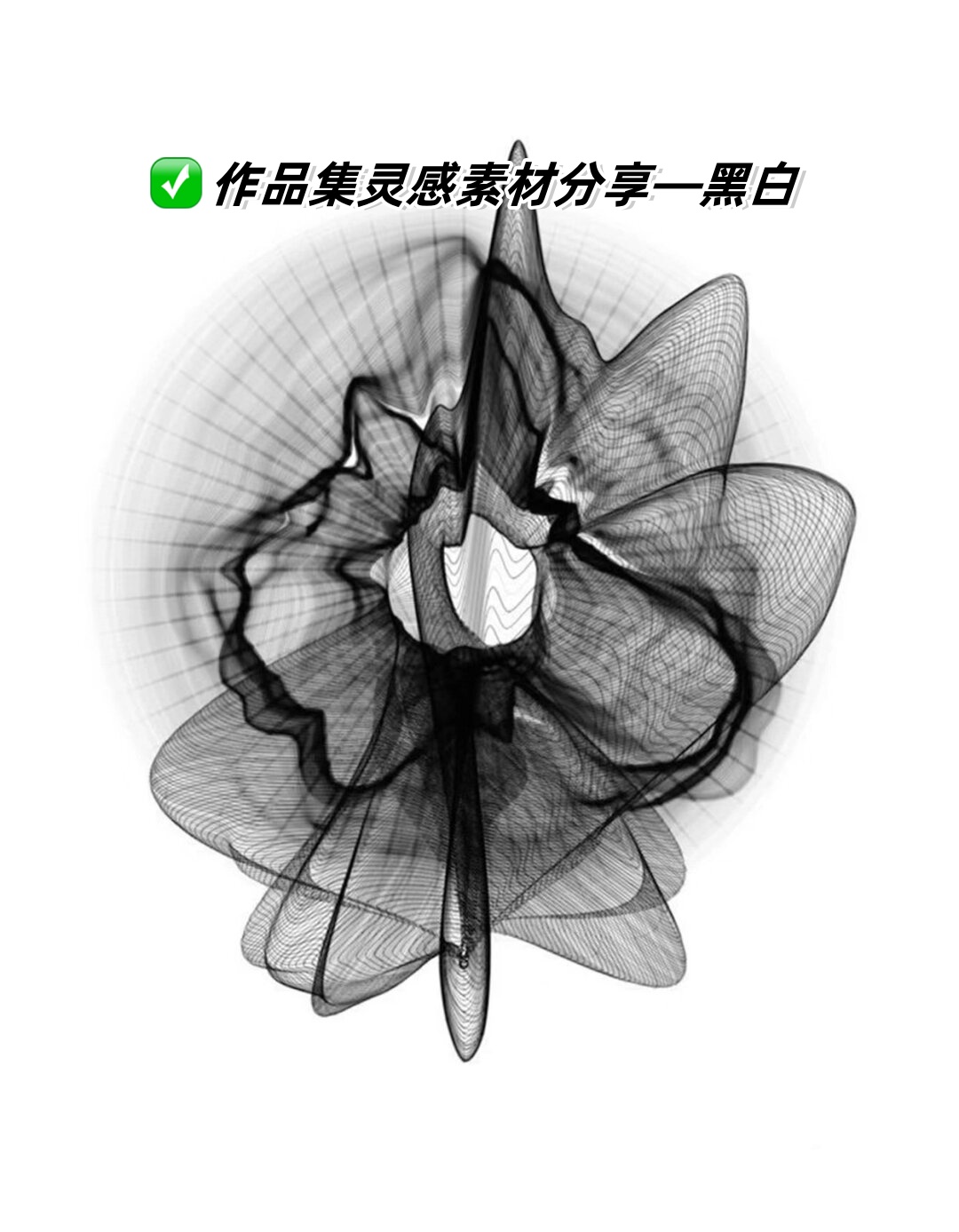 它们以简洁明了的黑白色彩为主,却能够展现出无穷无尽的创意和想象力