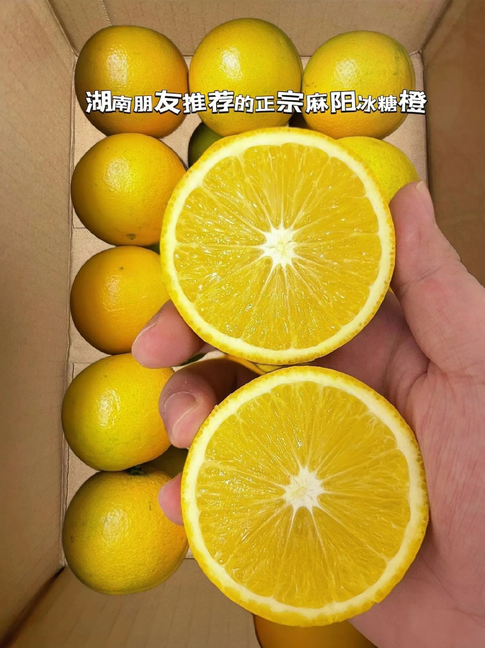 湖南麻阳冰糖橙简介图片