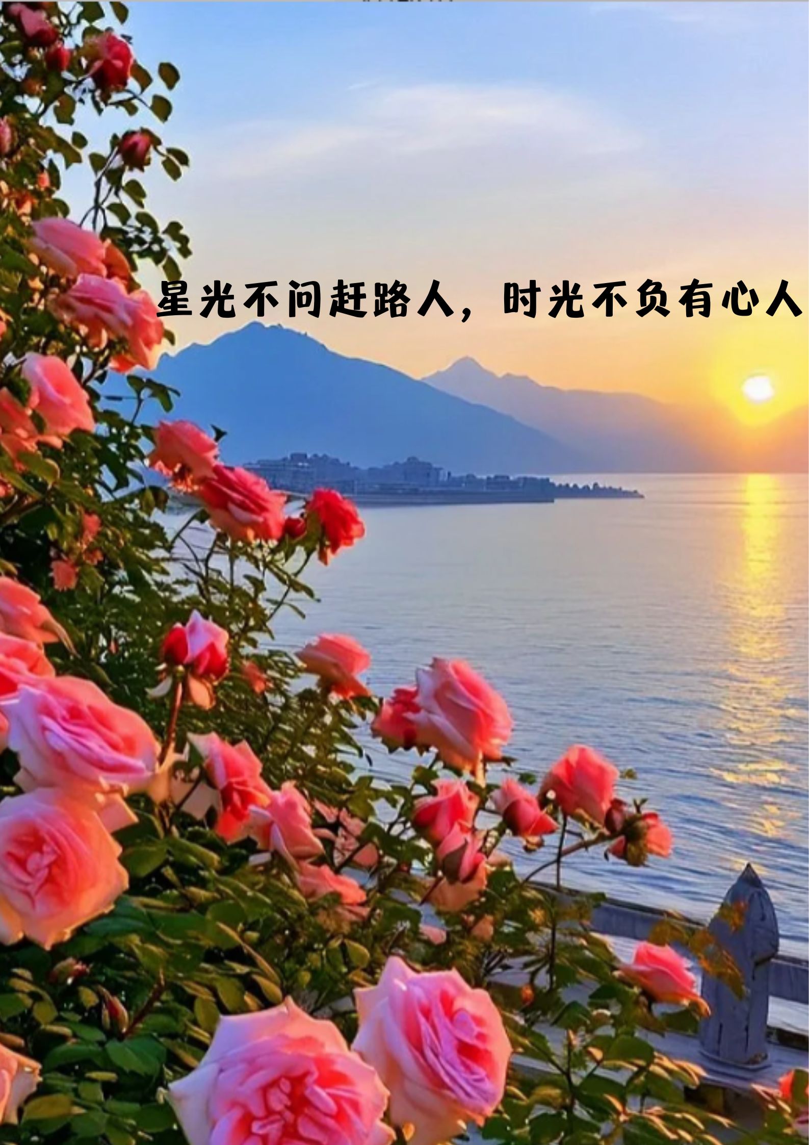 唯美句子简短走心   星光不问赶路人,时光不负有心人.