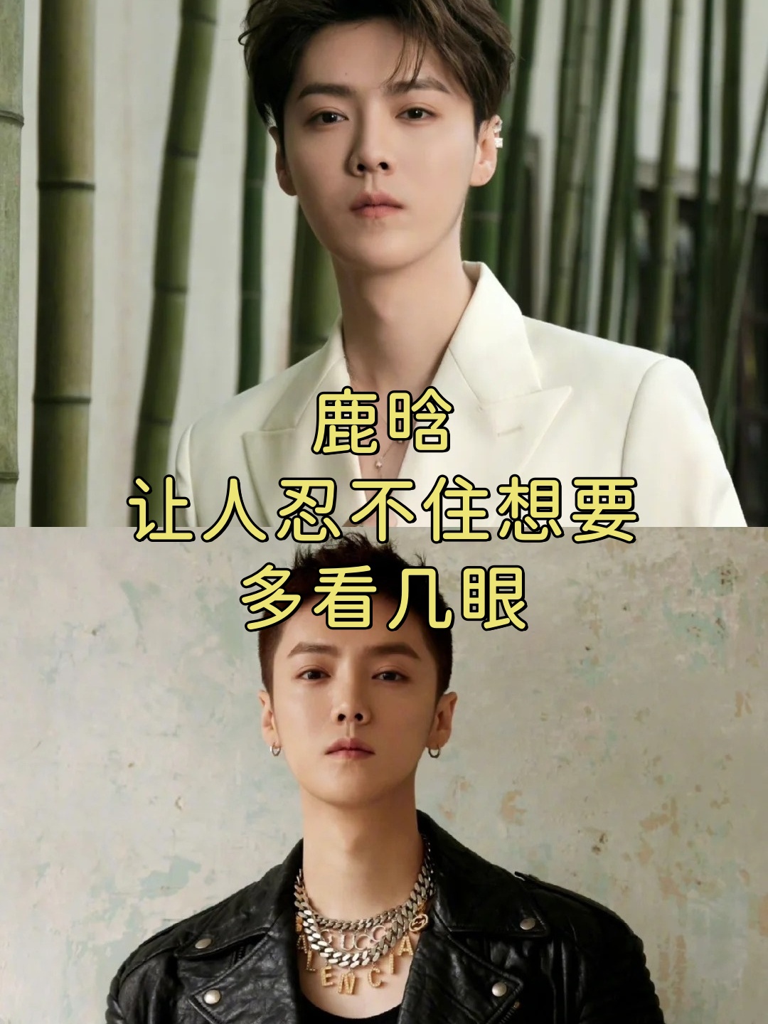 这次我来给大家带来一份超大福利