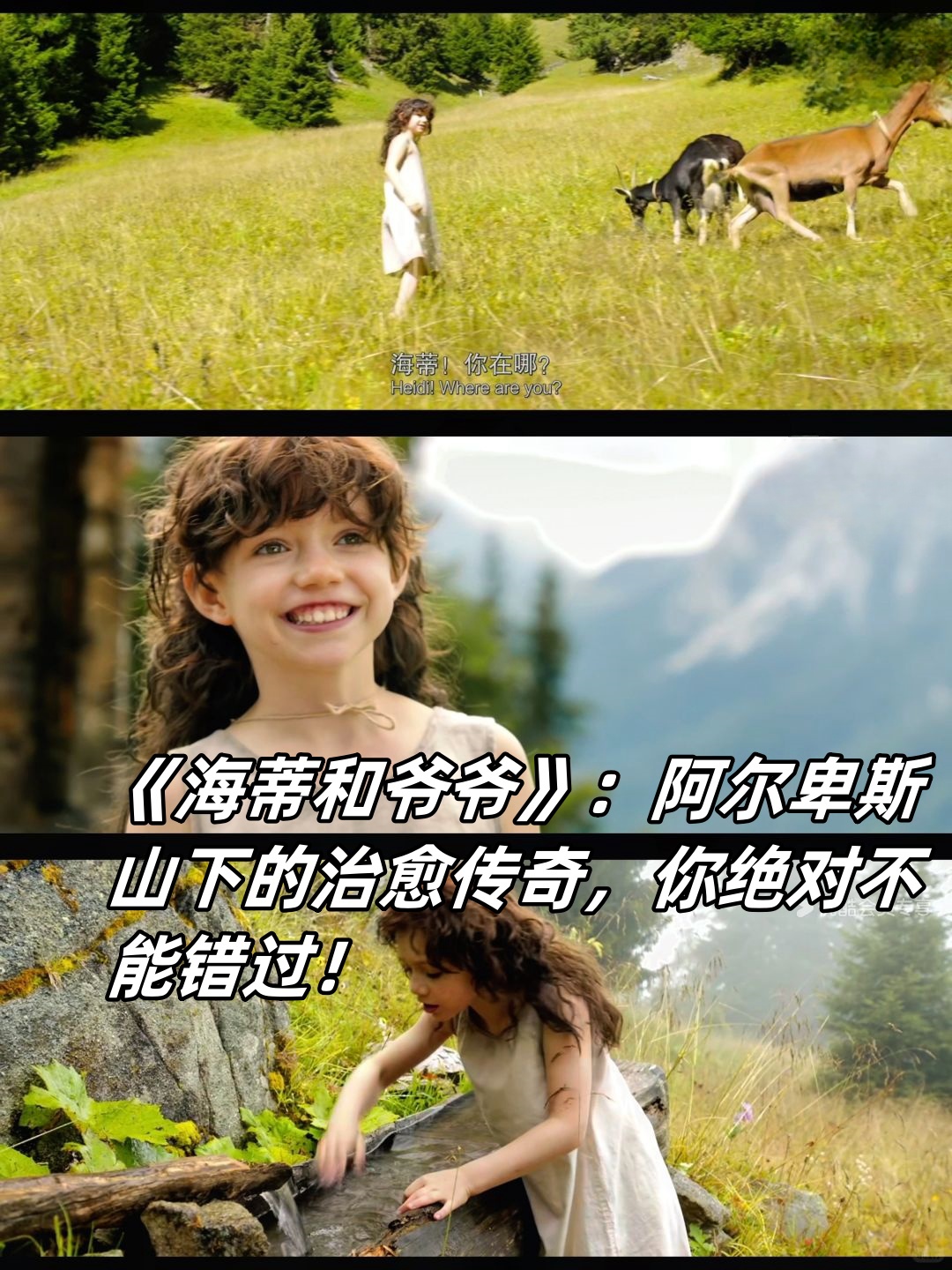 每次看到小海蒂在阿尔卑斯山里奔跑的画面,我小海蒂图片剧照小海蒂在