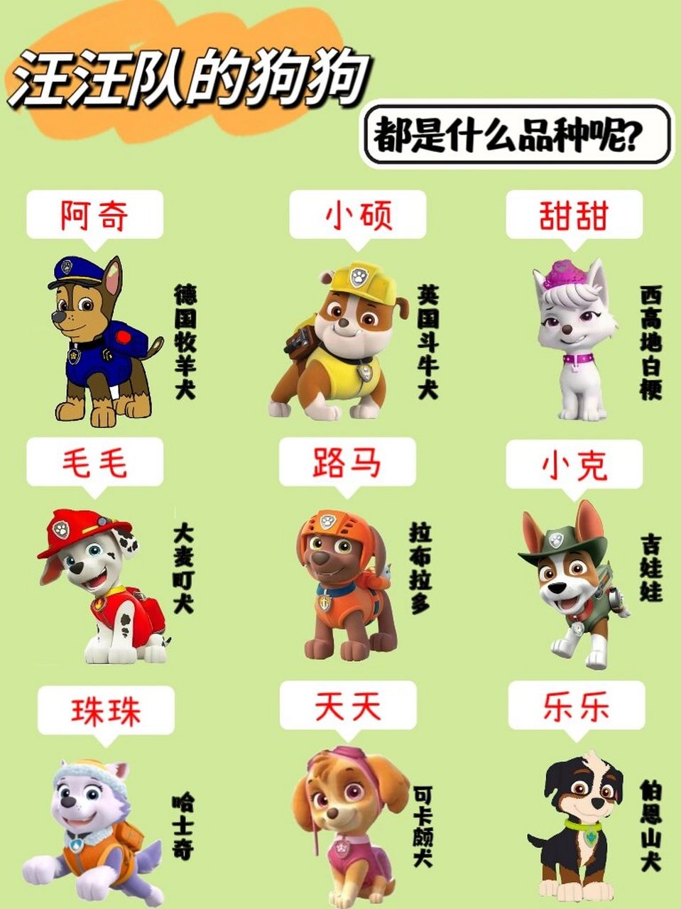 汪汪队的狗狗都是什么品种呢?
