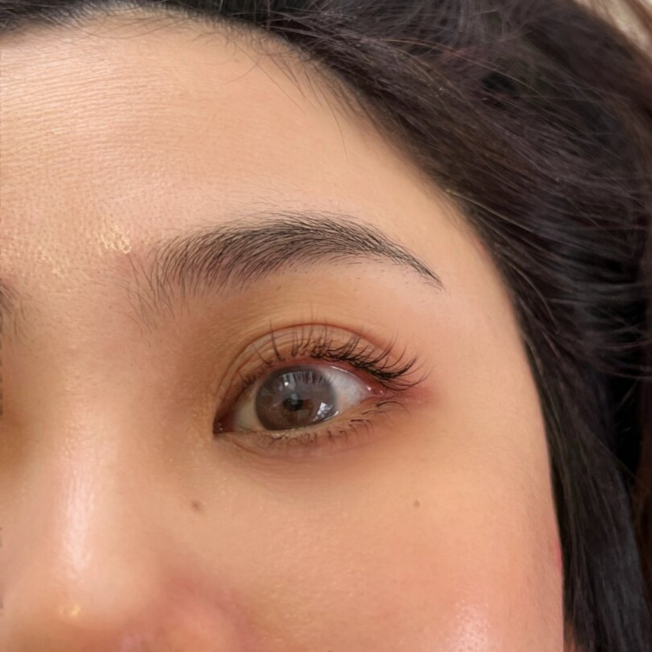 山茶花假睫毛  山茶花睫毛,这个词汇一听起来就充满了浪漫与美丽的