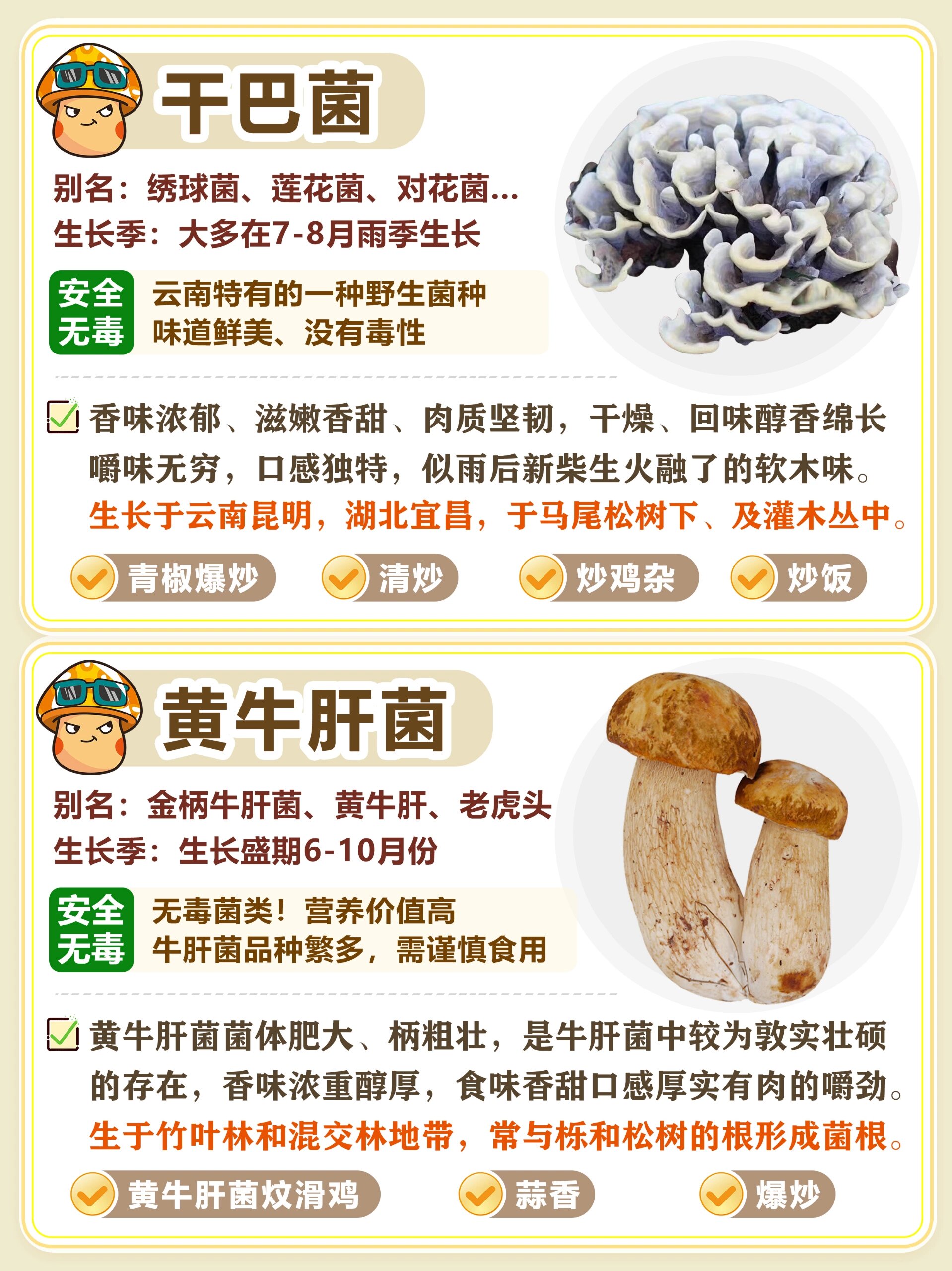 常见野生可食用菌合集这些菌儿能吃         3月11日跟朋友们来到了