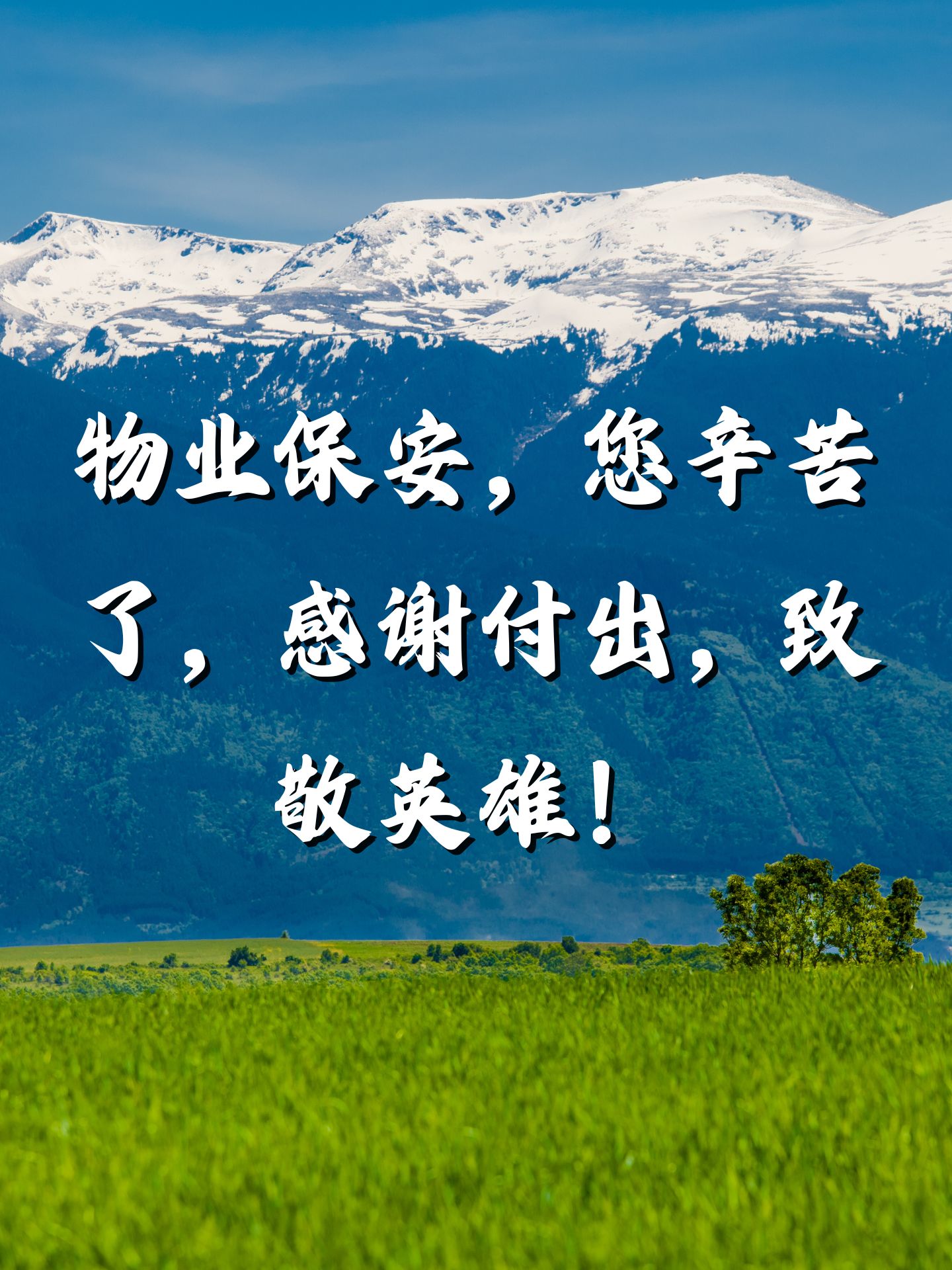 保安力量,守护安宁,无私奉献,感激不尽!