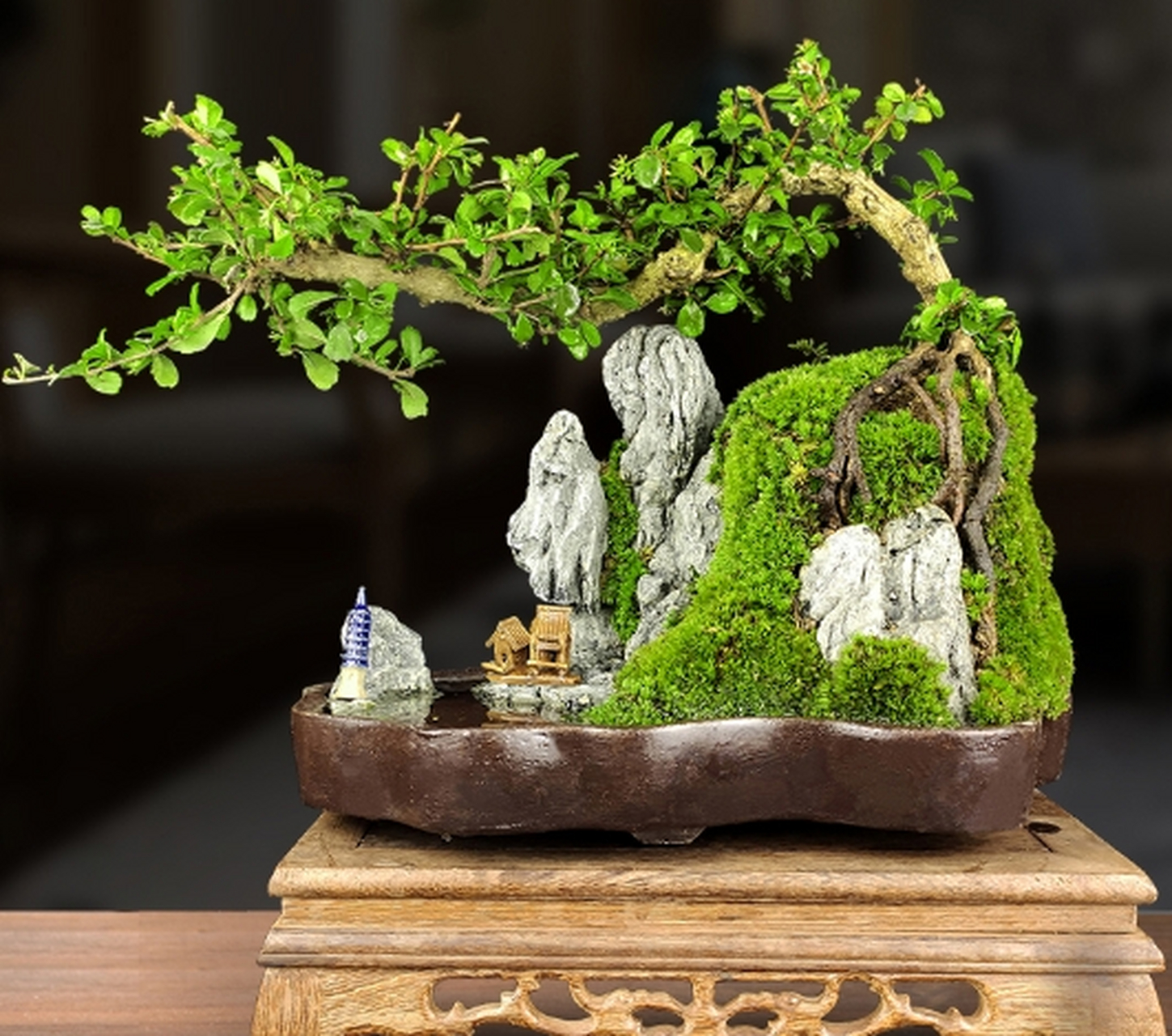 点击头像看直播# #奇石摆件#在做山石盆景之前,要把承托山石盆景的