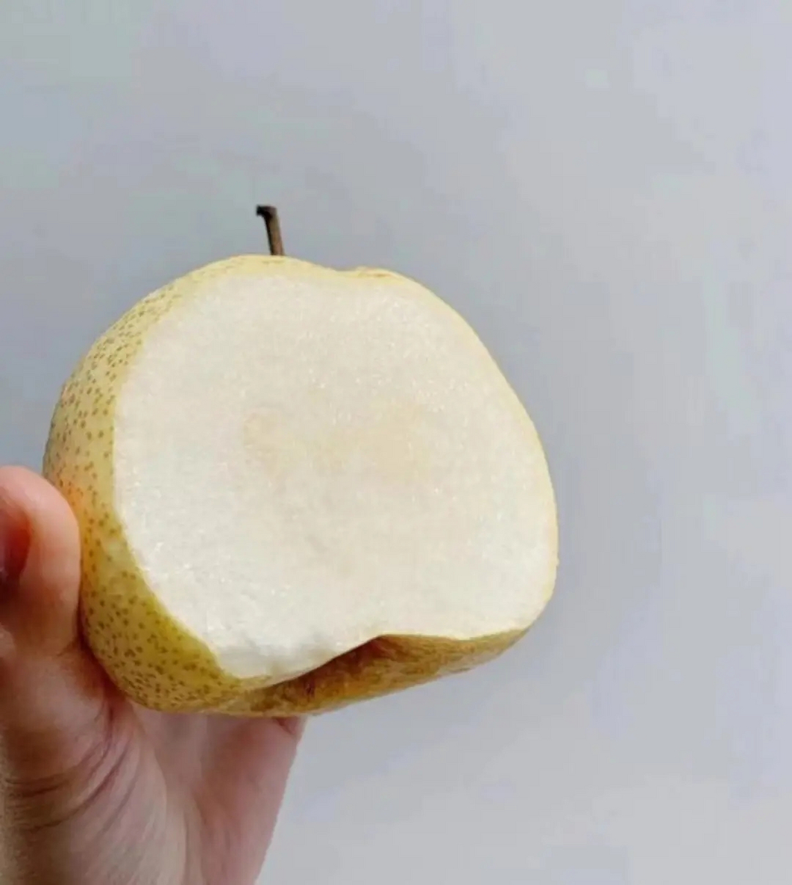 贡梨--中华"梨王",贡梨色泽黄里透白,个大,清甜多汁,营养丰富,止咳