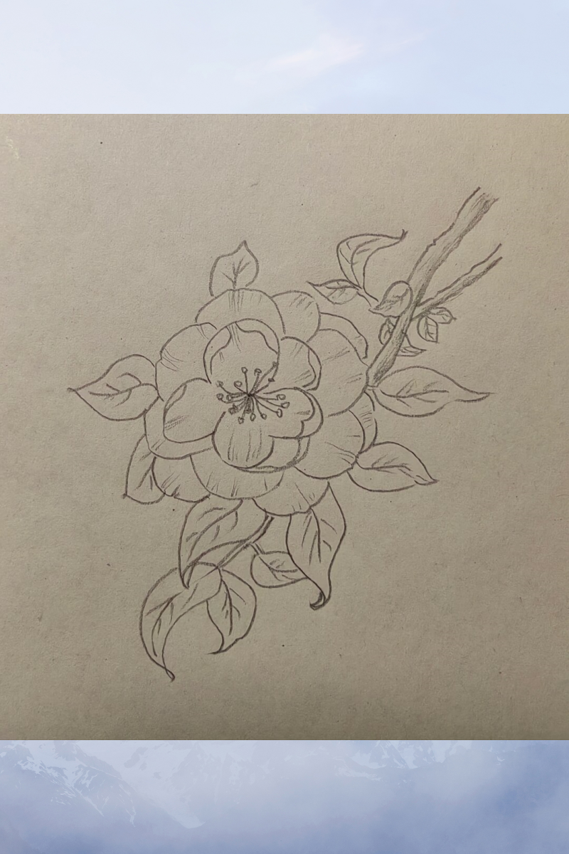 培养一项成长型爱好