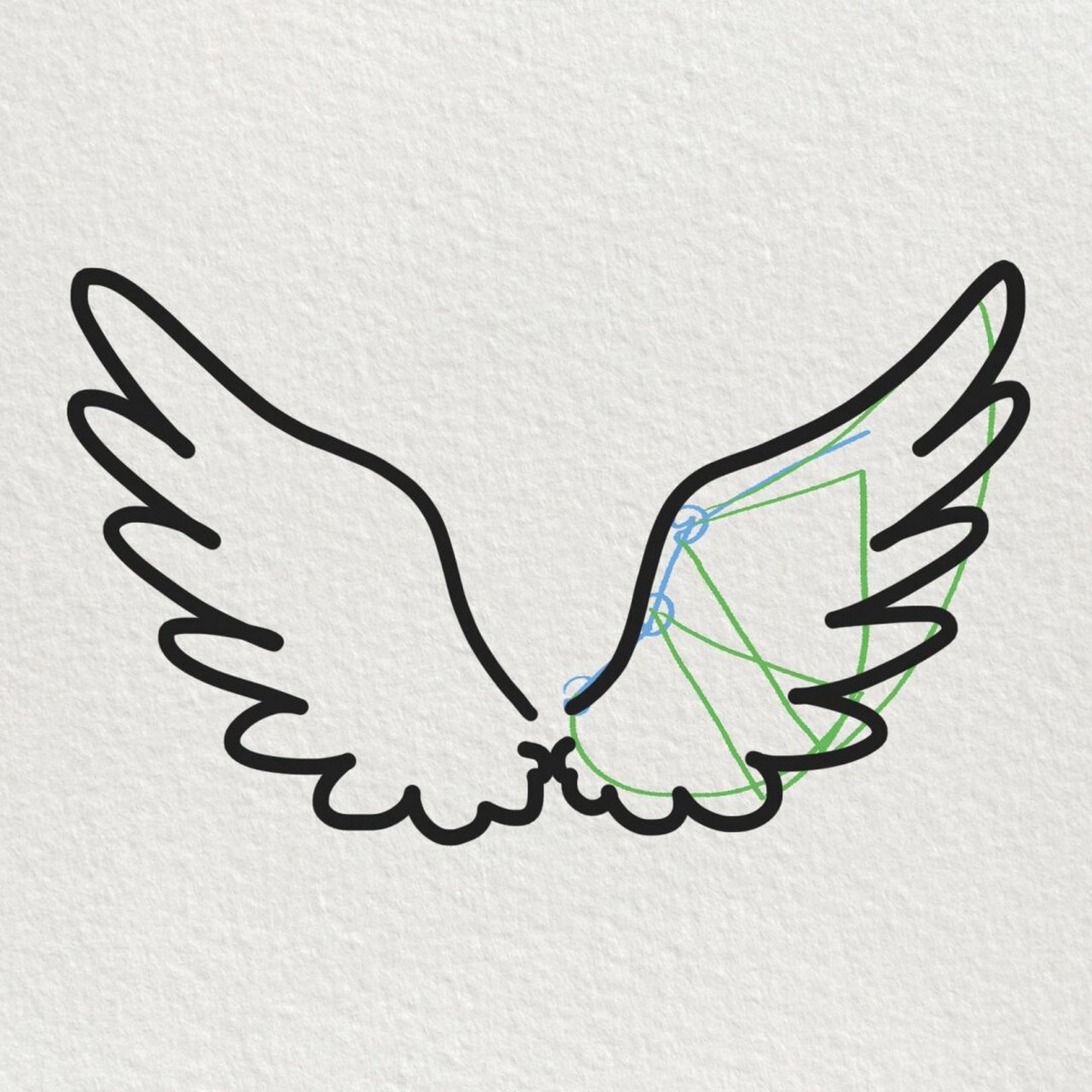 959015  首先,我们画出一个半圆形的弧线,作为翅膀的上部轮廓.