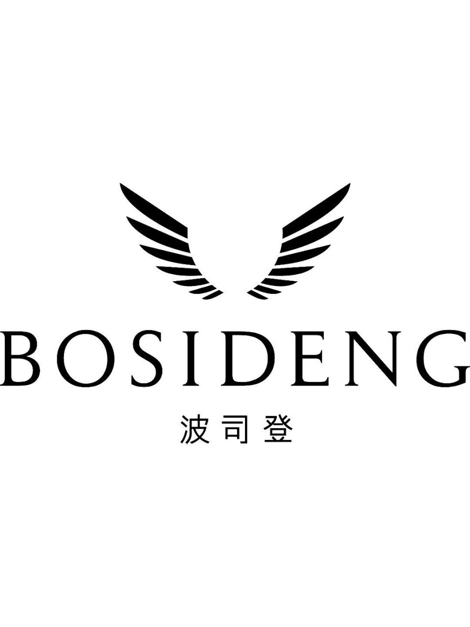 波司登,温暖全世界(bosideng, warming the world)  2