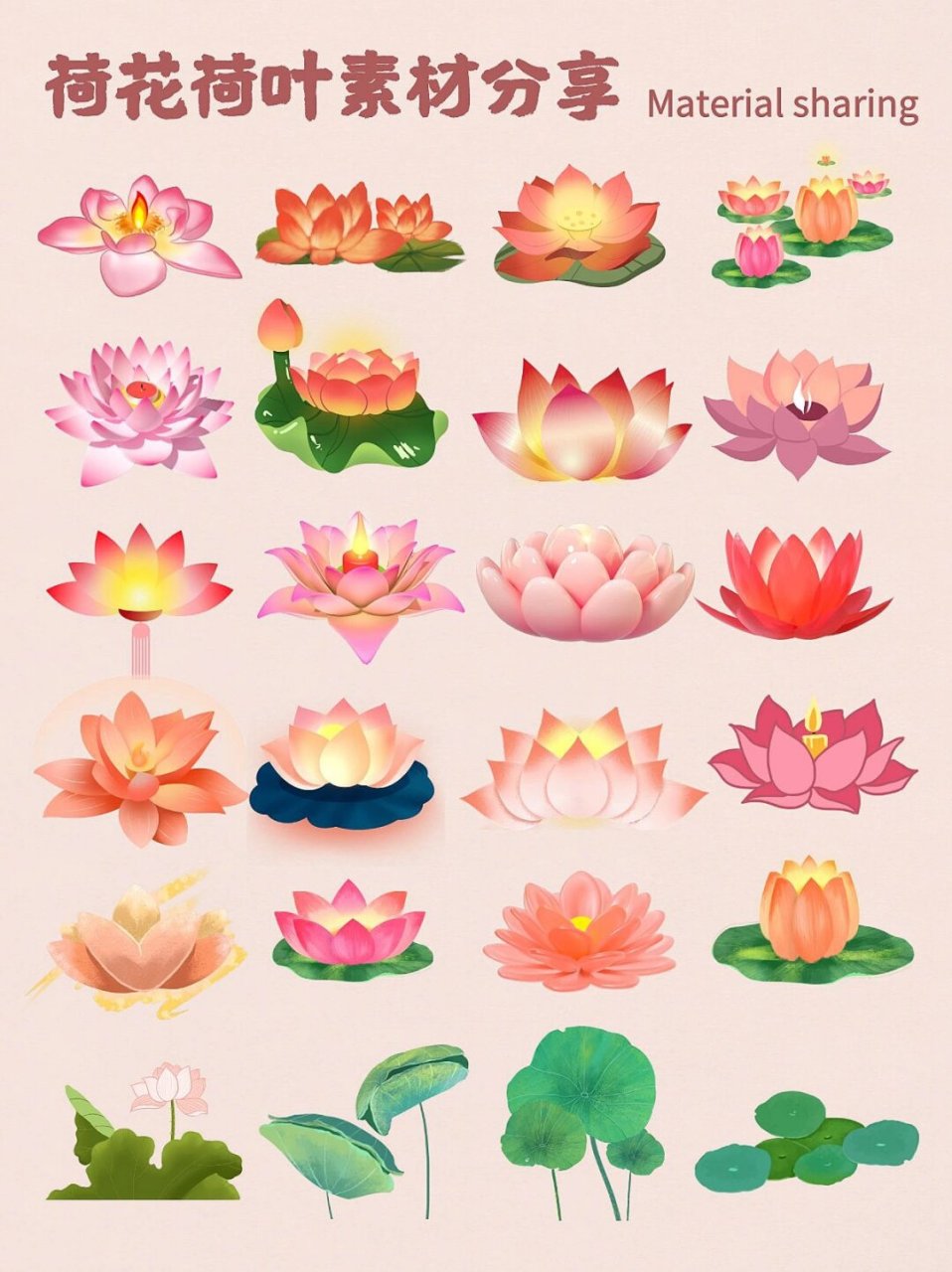 荷花荷叶素材分享  在这秋日微凉的时光里,有谁能抵挡得住荷花的魅力