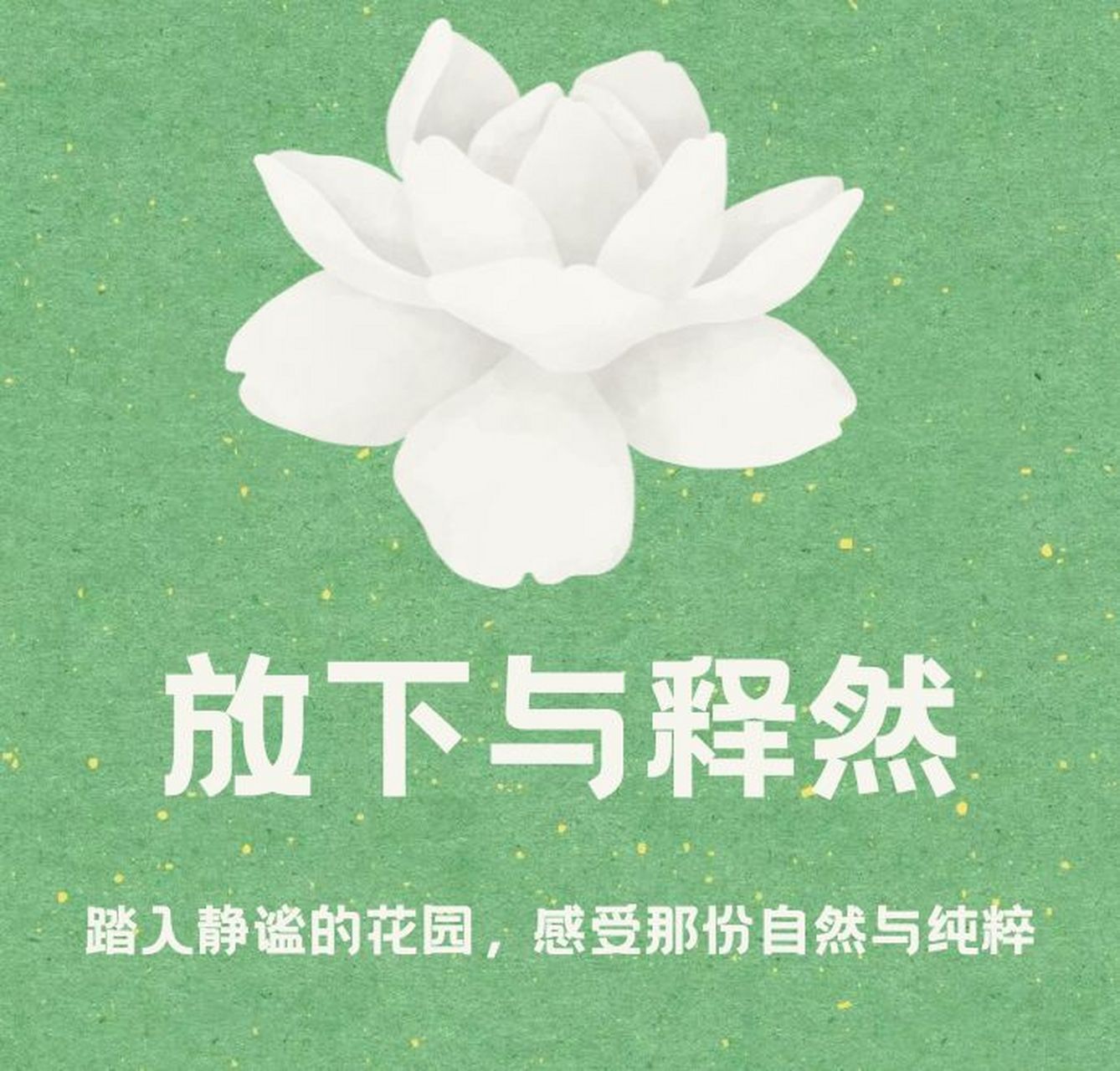 放下与释然的图片