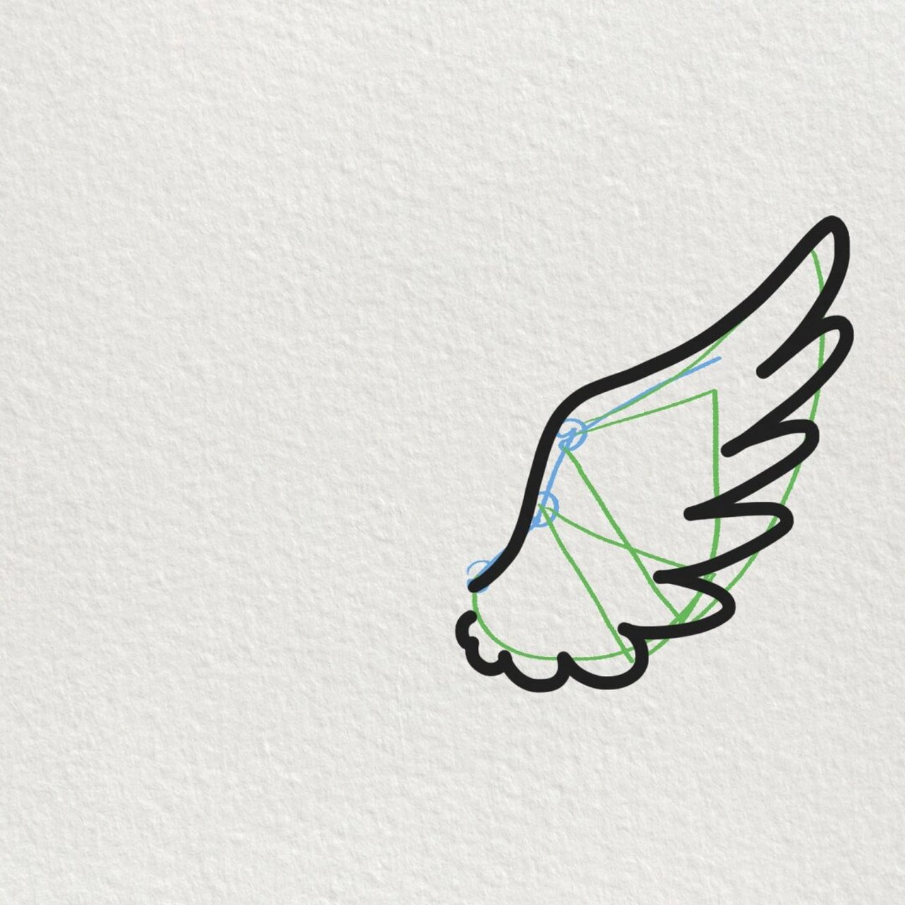 959015  首先,我们画出一个半圆形的弧线,作为翅膀的上部轮廓.