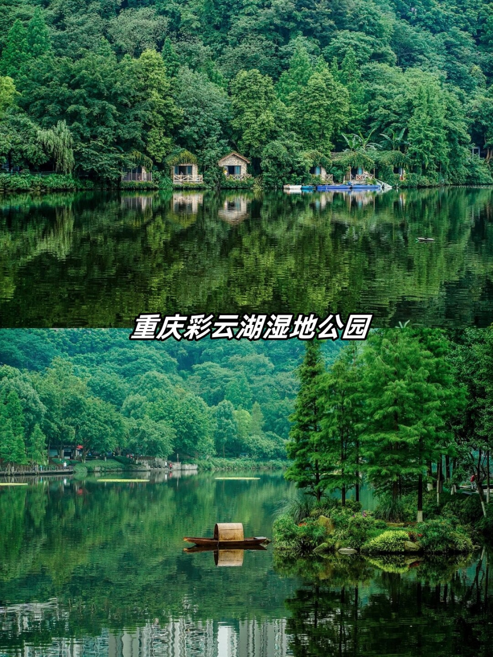 重庆彩云湖湿地公园  重庆彩云湖湿地公园,一个充满生机与活力的绿色