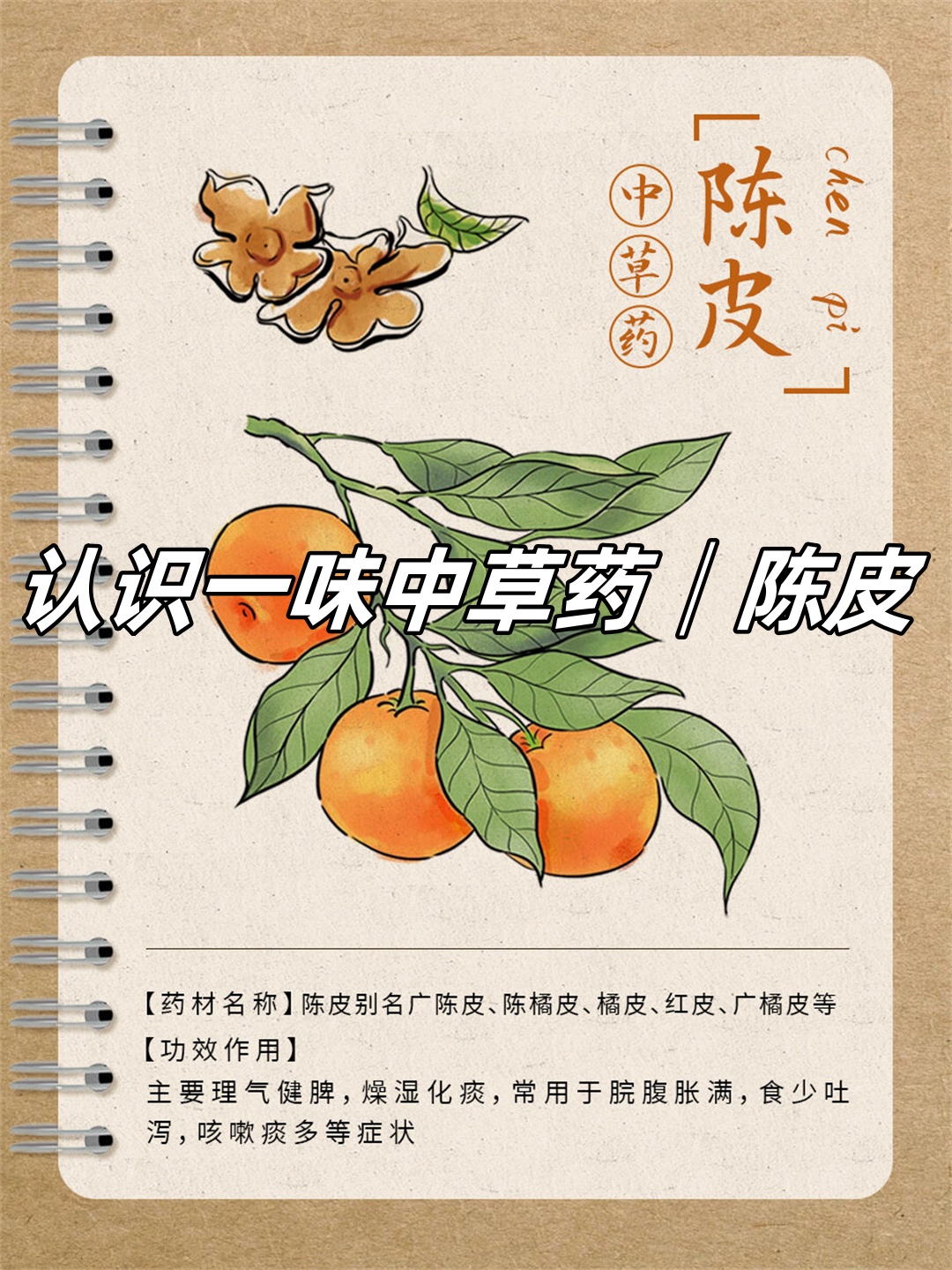 广陈皮陈橘皮等