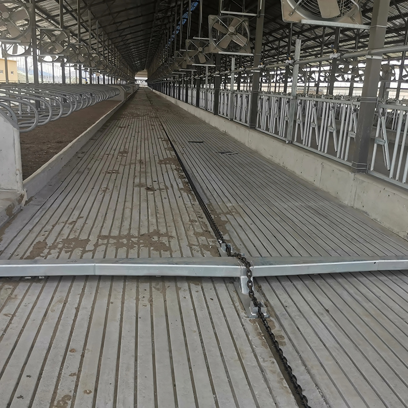 刮粪板在牛舍卫生管理中的重要性