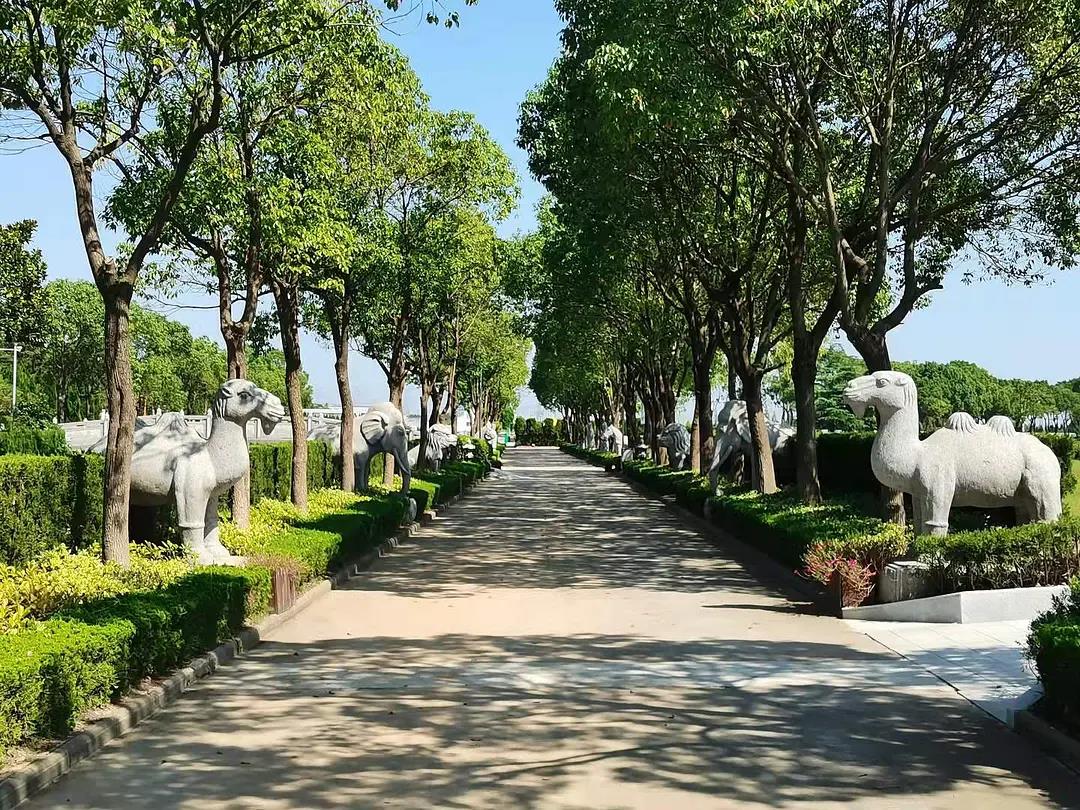 太仓双凤墓园 洪福墓区双凤公墓 墓型价格介绍