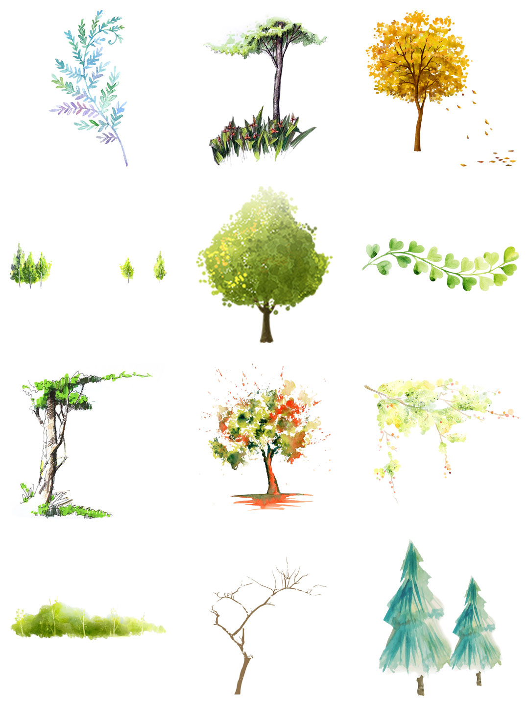 素材分享丨水彩手绘树木树叶png免扣插画