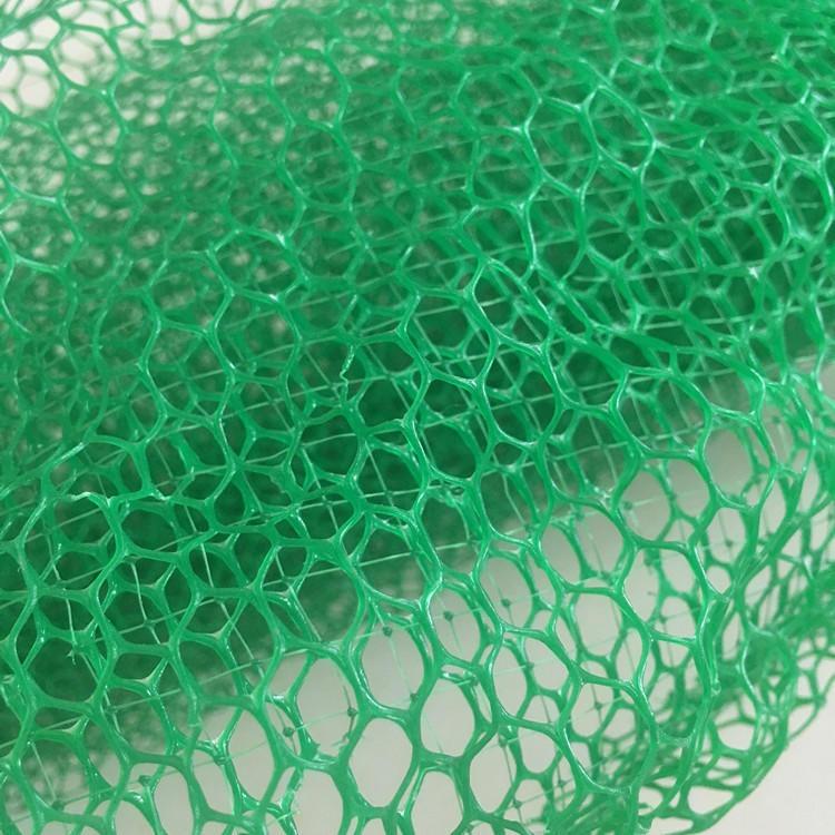 三维土工网垫高强版