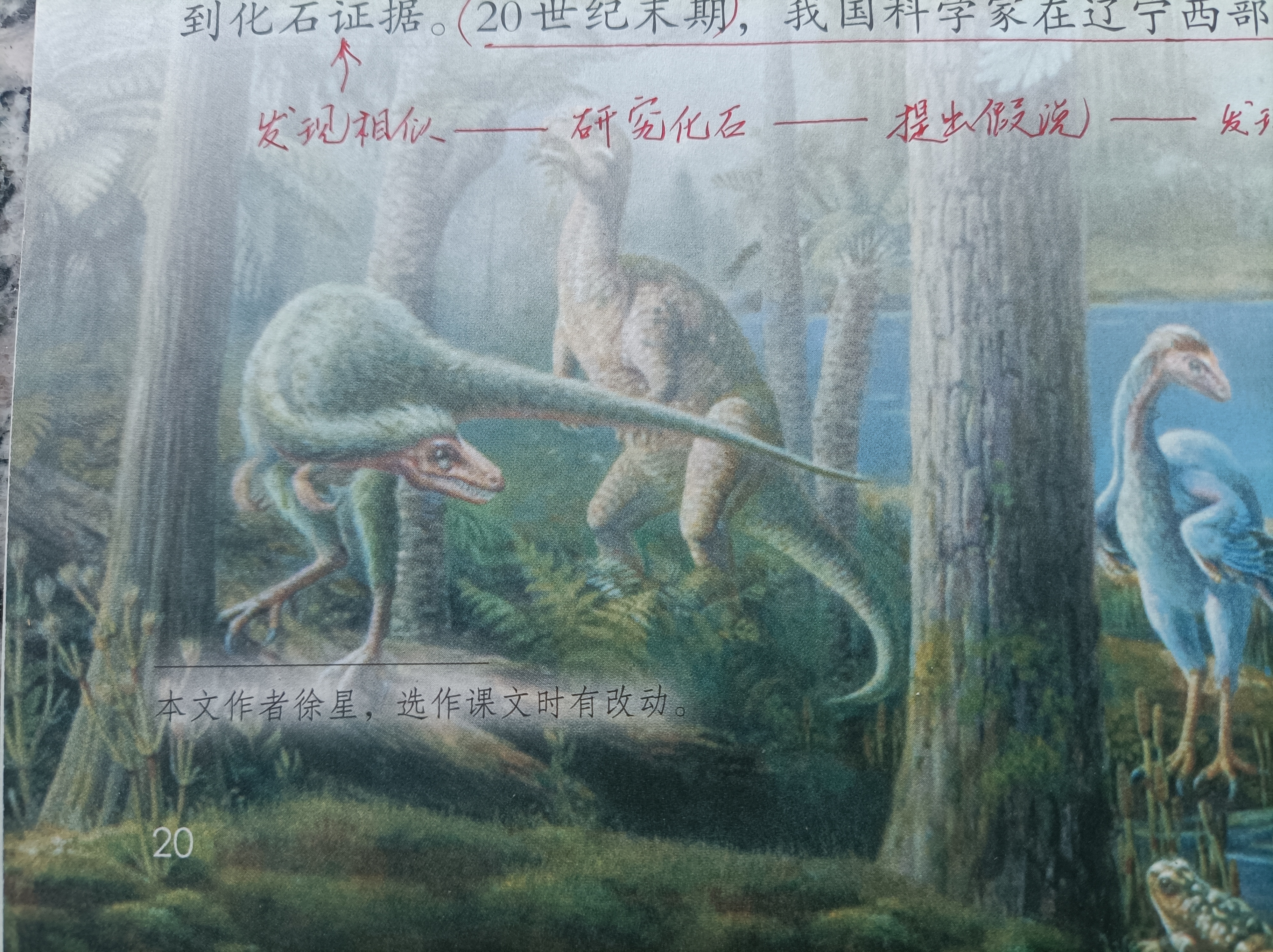 四年级下册《飞向蓝天的恐龙》,看资深教师细致讲解,解决课后题