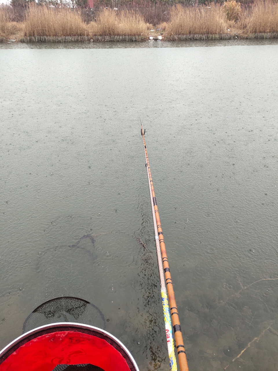 知识创作挑战赛春日篇# 老钓鱼人发现,春日钓鱼阴雨天钓鱼的效果并不