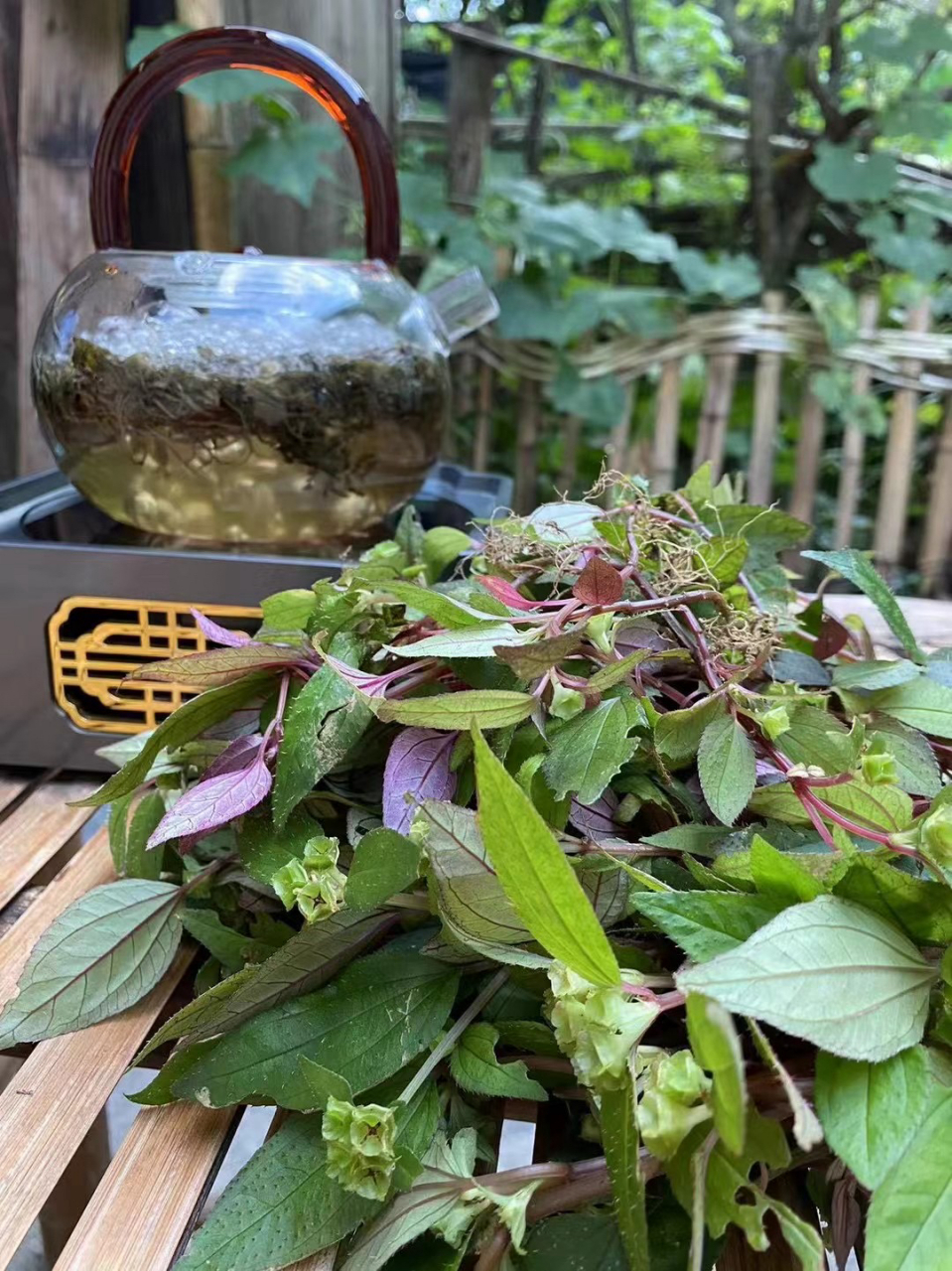 风柜斗草又叫风谷草!