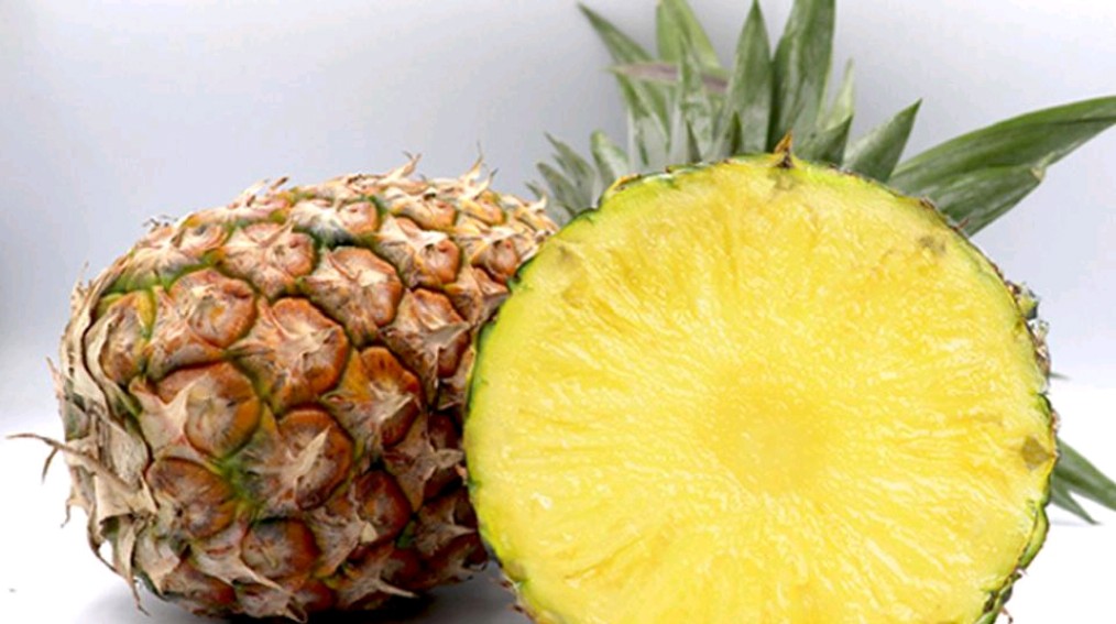 知识创作挑战赛春日篇#   很多人不知道怎么选,毕竟它皮比较厚,看不