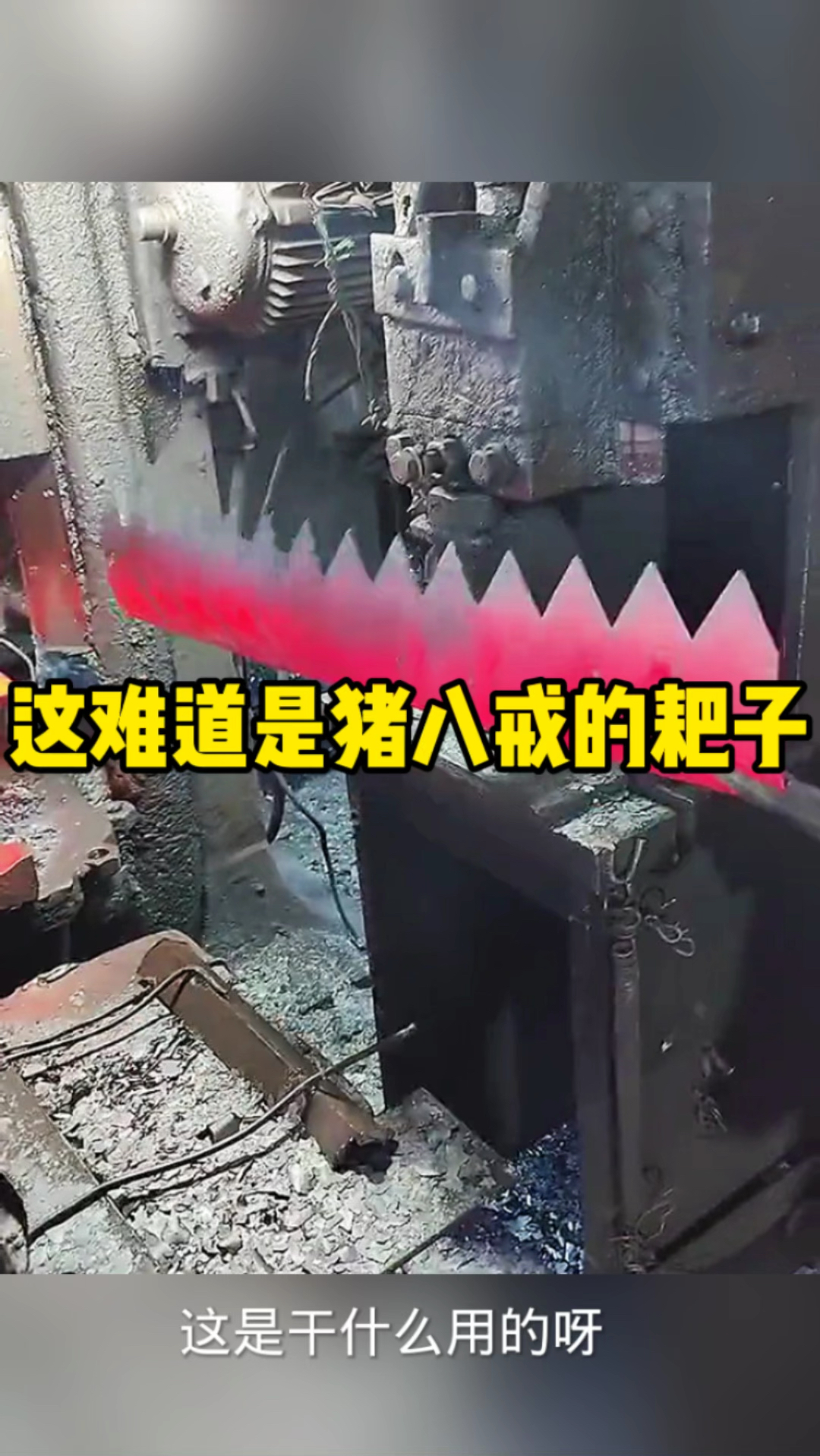 这哥们儿难道是猪八戒的耙子?-度小视