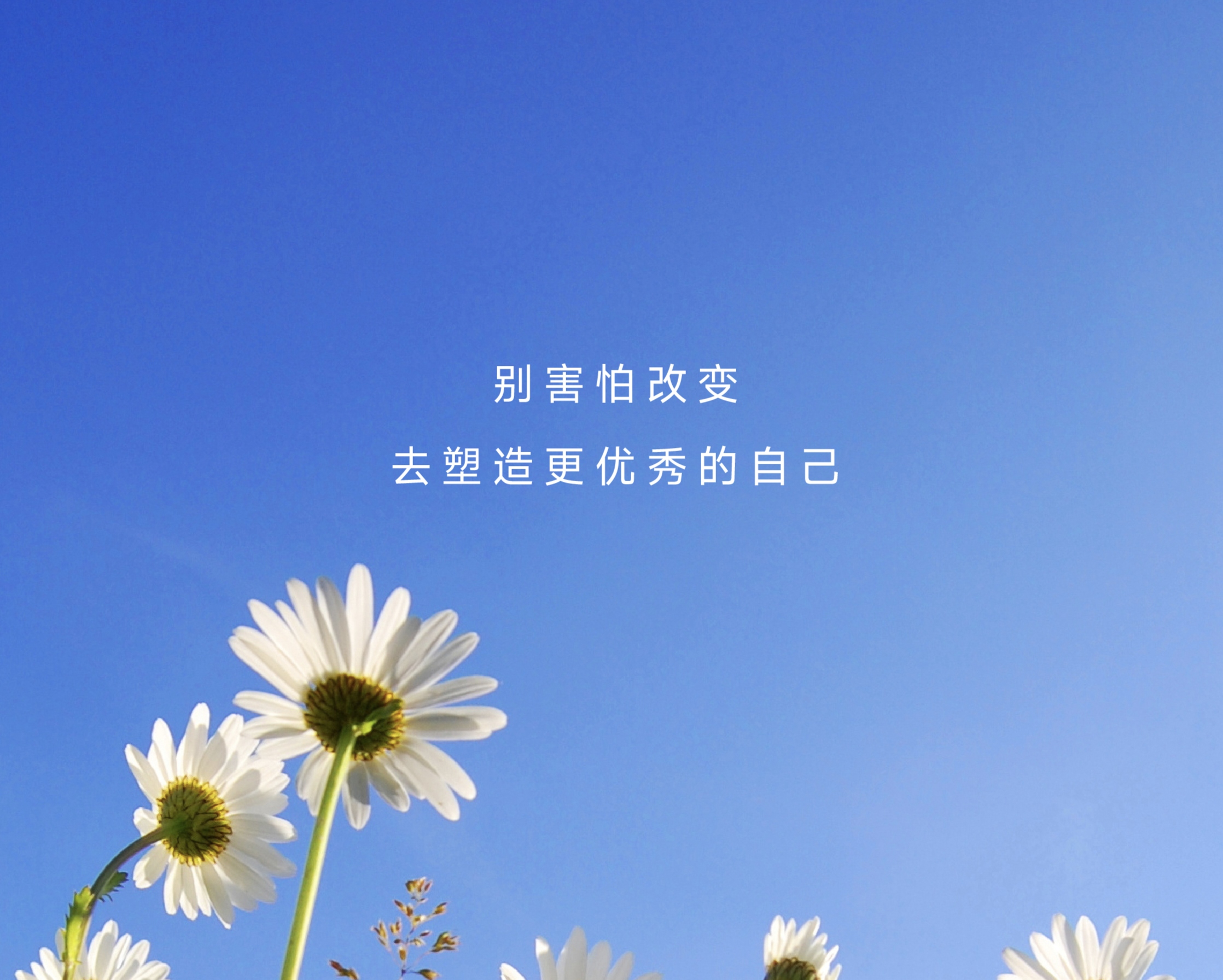 伪命题,伪命题和假命题的区别 伪命题,伪命题和假命题的区别