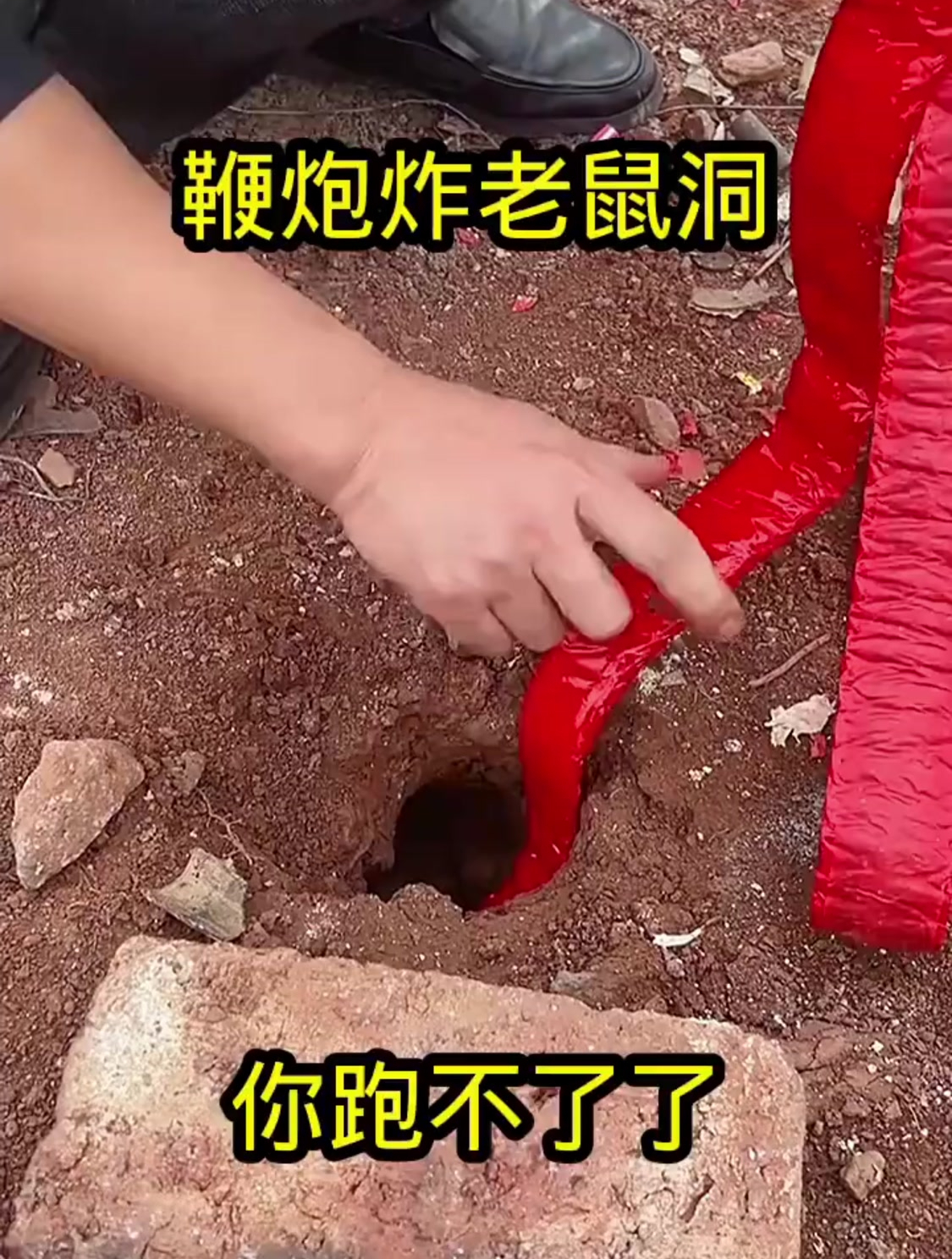 鞭炮炸炸老鼠洞你跑不了了
