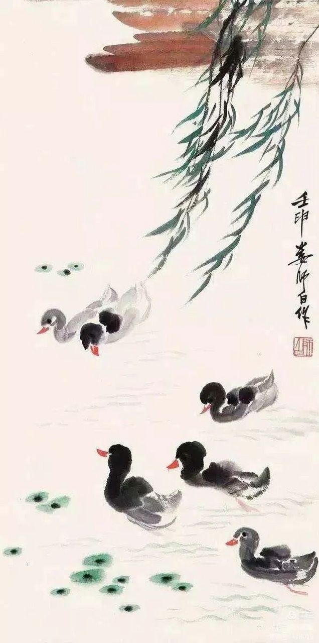 娄师白的小鸭子图片