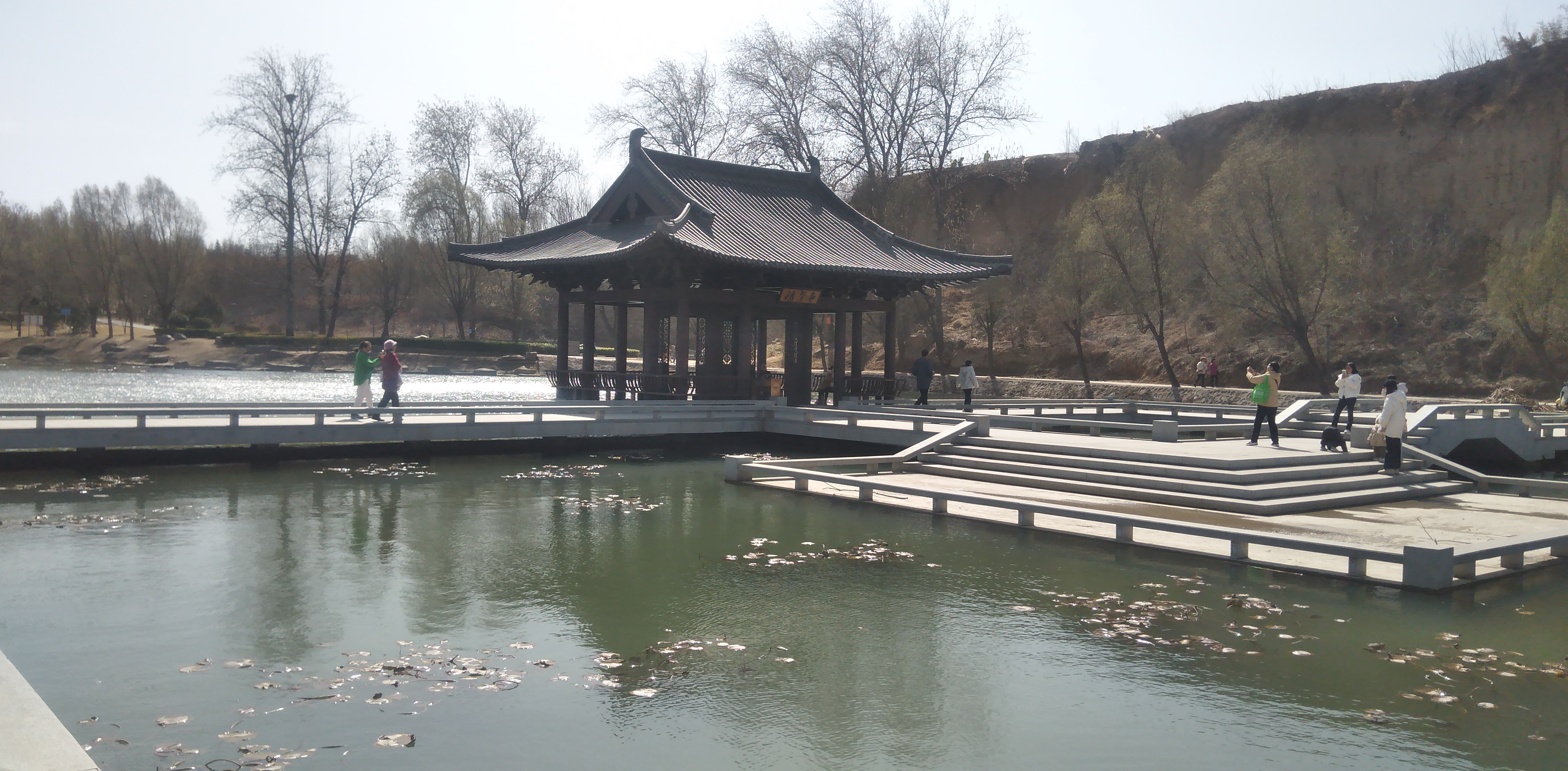 郑州西流湖公园满园春色,踏青好去处