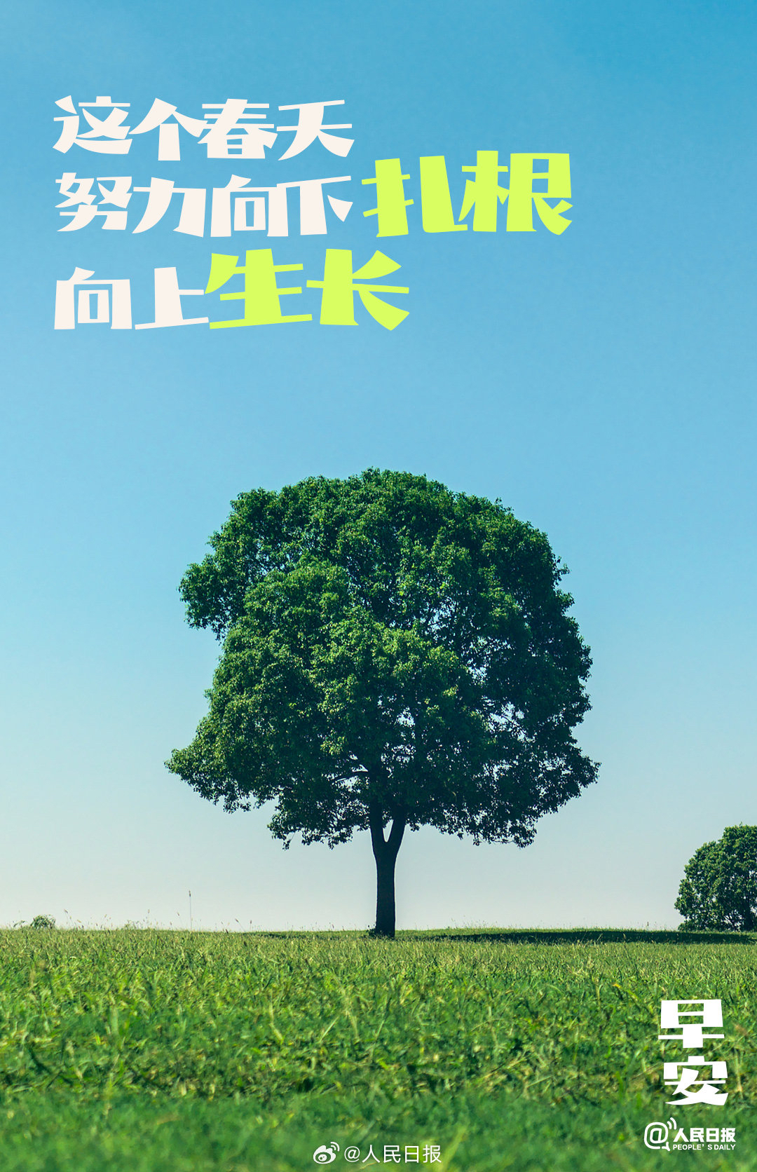 向下扎根,向上生长