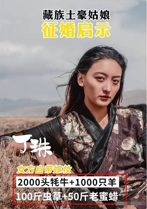 回顾藏族女孩丁珠虫草当辣条藏獒当保镖自备千万嫁妆无人敢娶