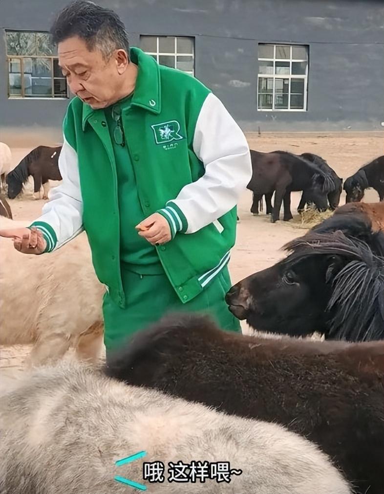 于谦近照现身北京自家马场整个人苍老了许多55岁似70岁